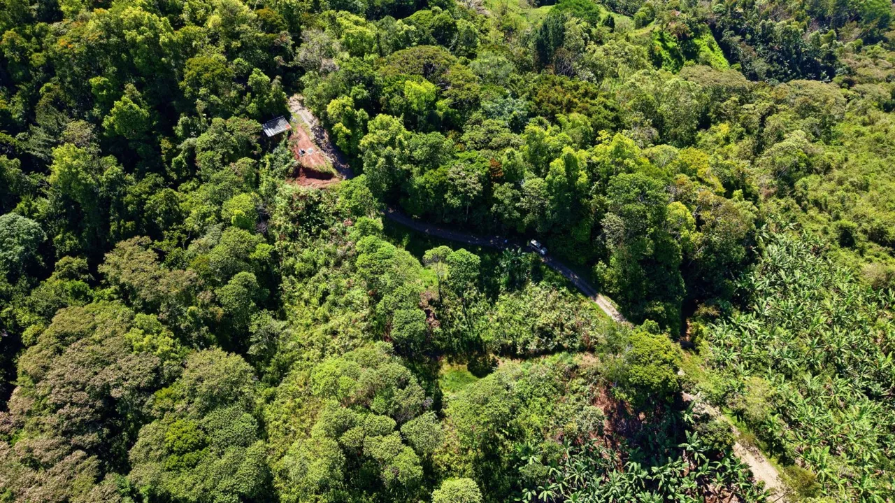 Prime Mountain Land for Sale: 1.48-Acre Estate in Guadalupe de Rivas | Build Your Dream Escape, photo 8