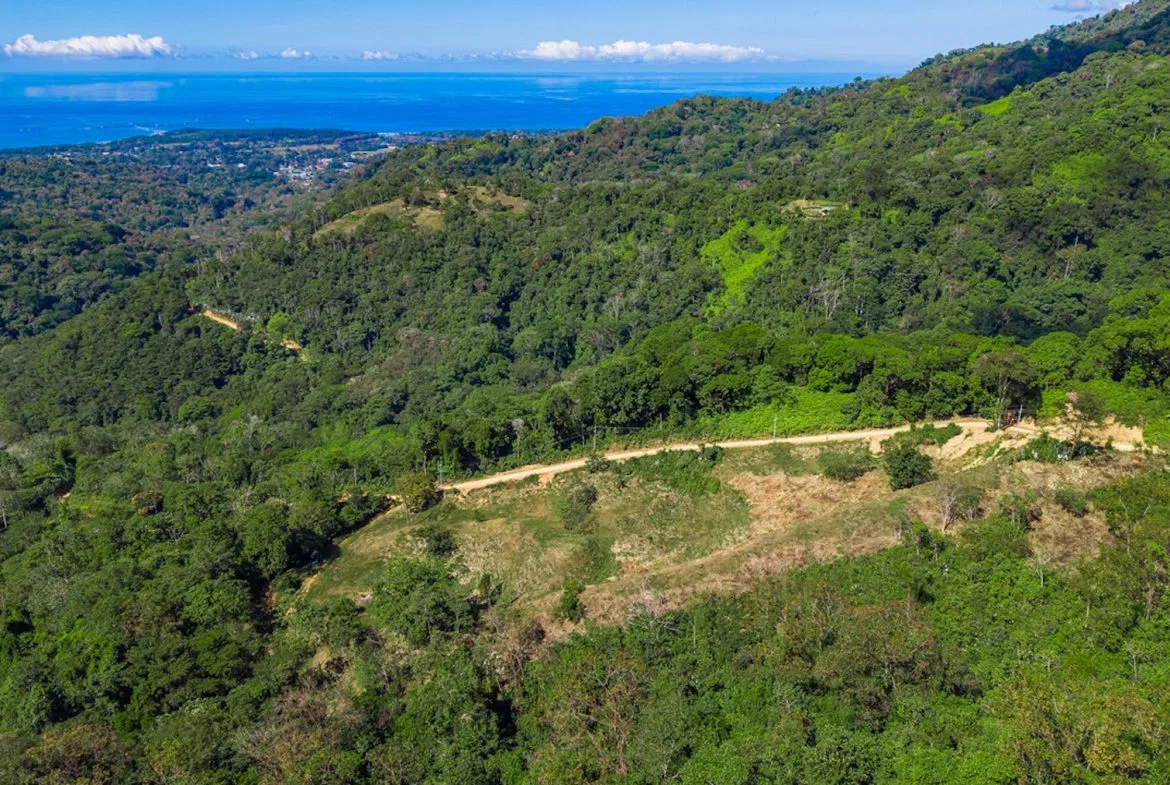DEVELOPMENT PROPERTY WITH BEAUTIFUL CASCADE, IN UVITA – 101 ACRES, photo 2