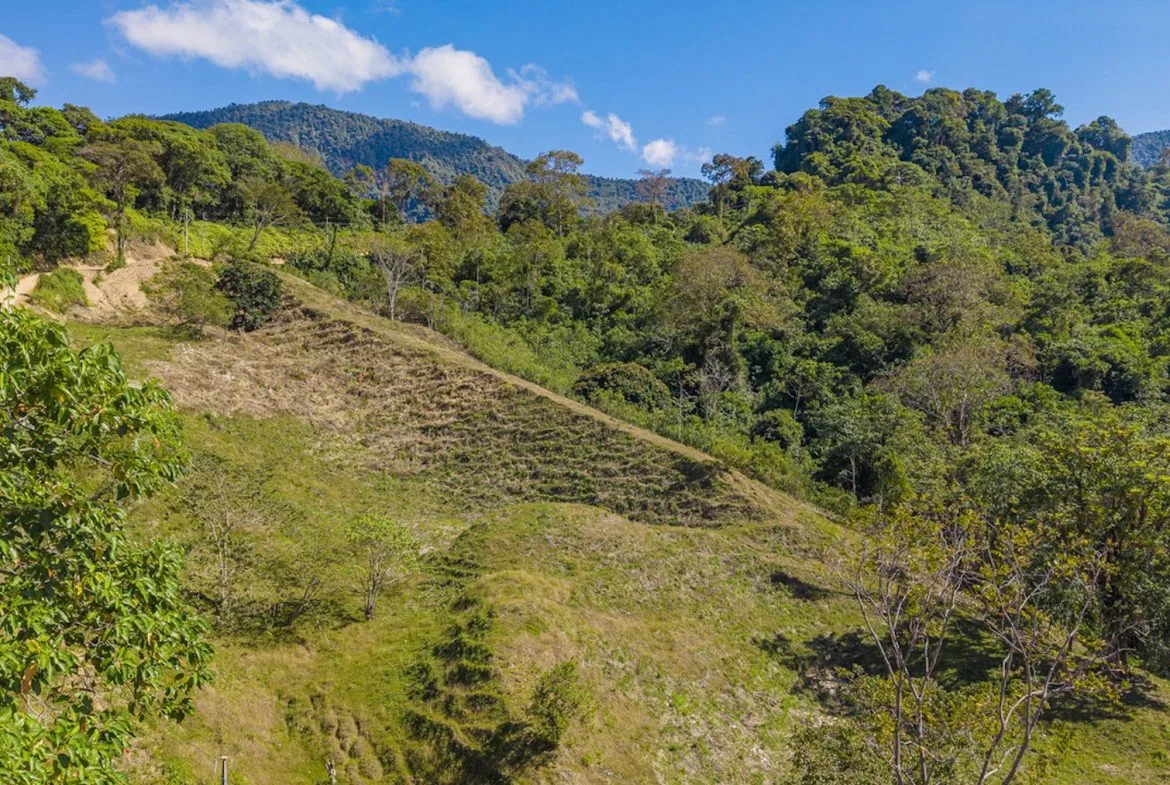 DEVELOPMENT PROPERTY WITH BEAUTIFUL CASCADE, IN UVITA – 101 ACRES, photo 14