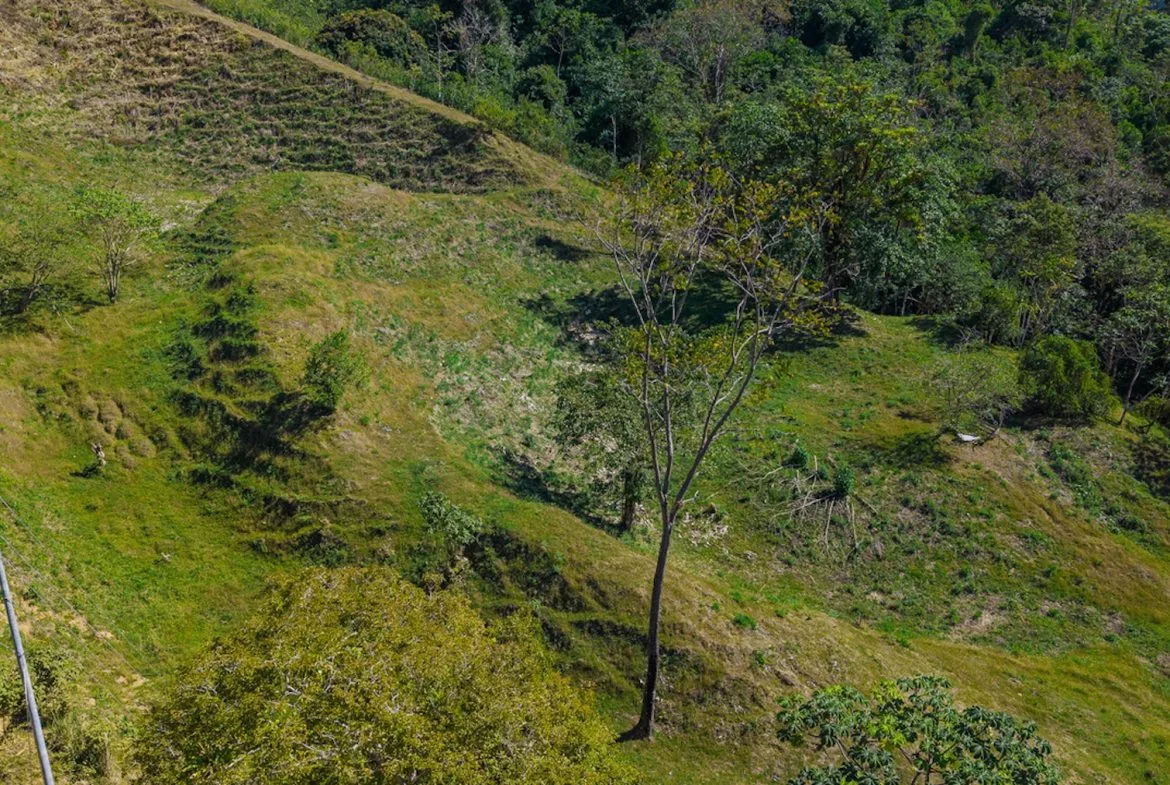DEVELOPMENT PROPERTY WITH BEAUTIFUL CASCADE, IN UVITA – 101 ACRES, photo 18