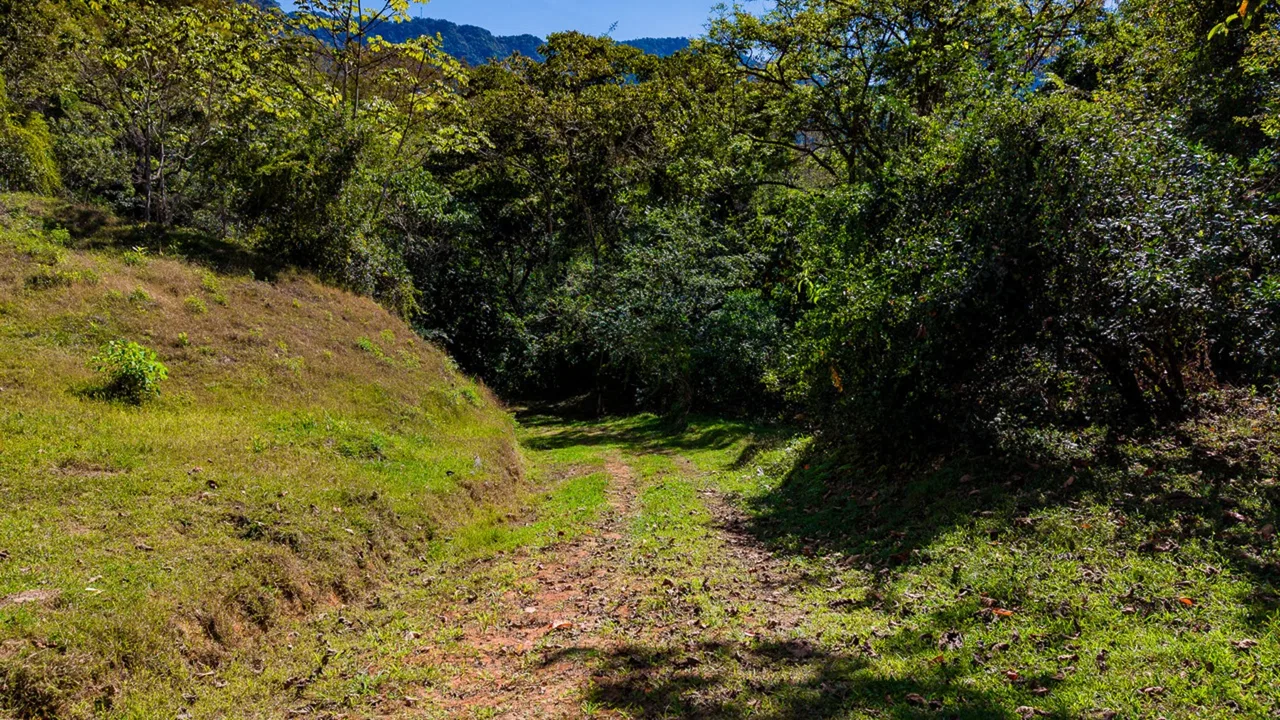DEVELOPMENT PROPERTY WITH BEAUTIFUL CASCADE, IN UVITA – 101 ACRES, photo 19