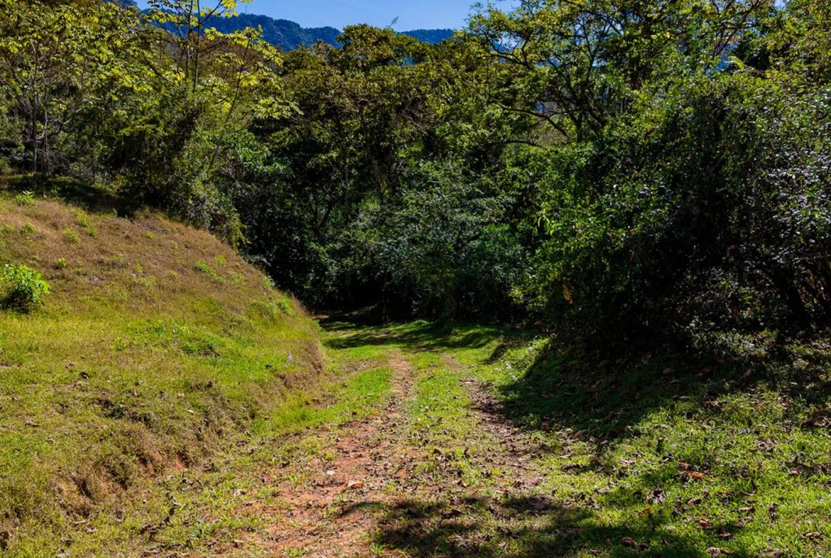 DEVELOPMENT PROPERTY WITH BEAUTIFUL CASCADE, IN UVITA – 101 ACRES, photo 20