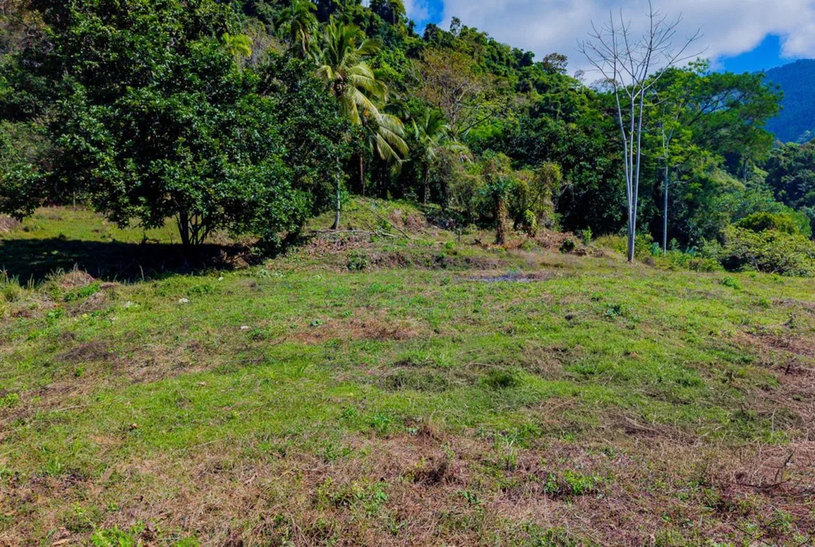 DEVELOPMENT PROPERTY WITH BEAUTIFUL CASCADE, IN UVITA – 101 ACRES, photo 24