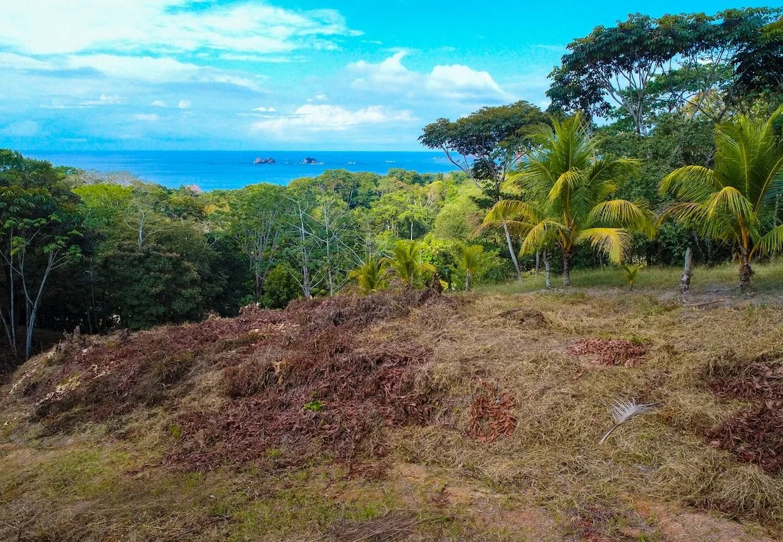 BUILDING PROPERTY WITH OCEAN VIEWS, IN BALLENA – 14.63 ACRES, photo 2
