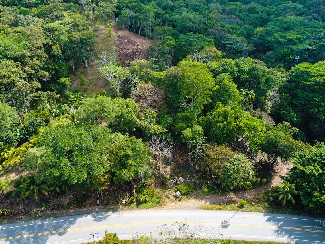 BUILDING PROPERTY WITH OCEAN VIEWS, IN BALLENA – 14.63 ACRES, photo 11