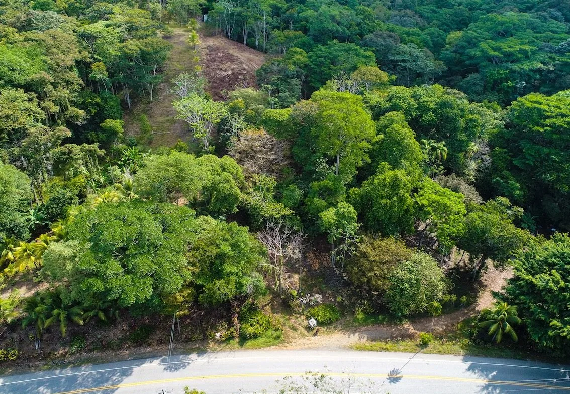 BUILDING PROPERTY WITH OCEAN VIEWS, IN BALLENA – 14.63 ACRES, photo 12