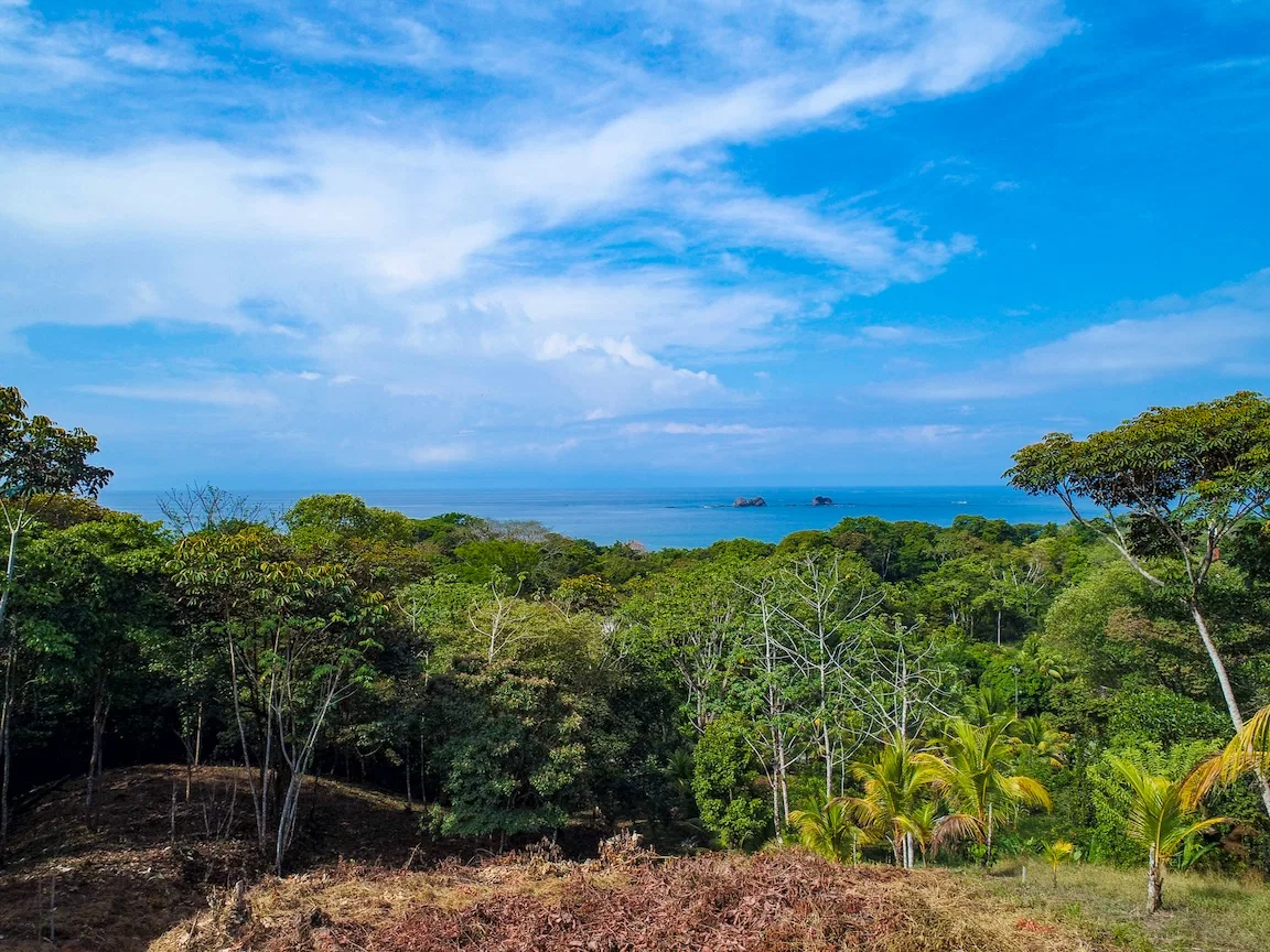BUILDING PROPERTY WITH OCEAN VIEWS, IN BALLENA – 14.63 ACRES, photo 7