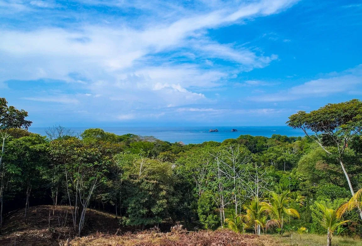 BUILDING PROPERTY WITH OCEAN VIEWS, IN BALLENA – 14.63 ACRES, photo 8