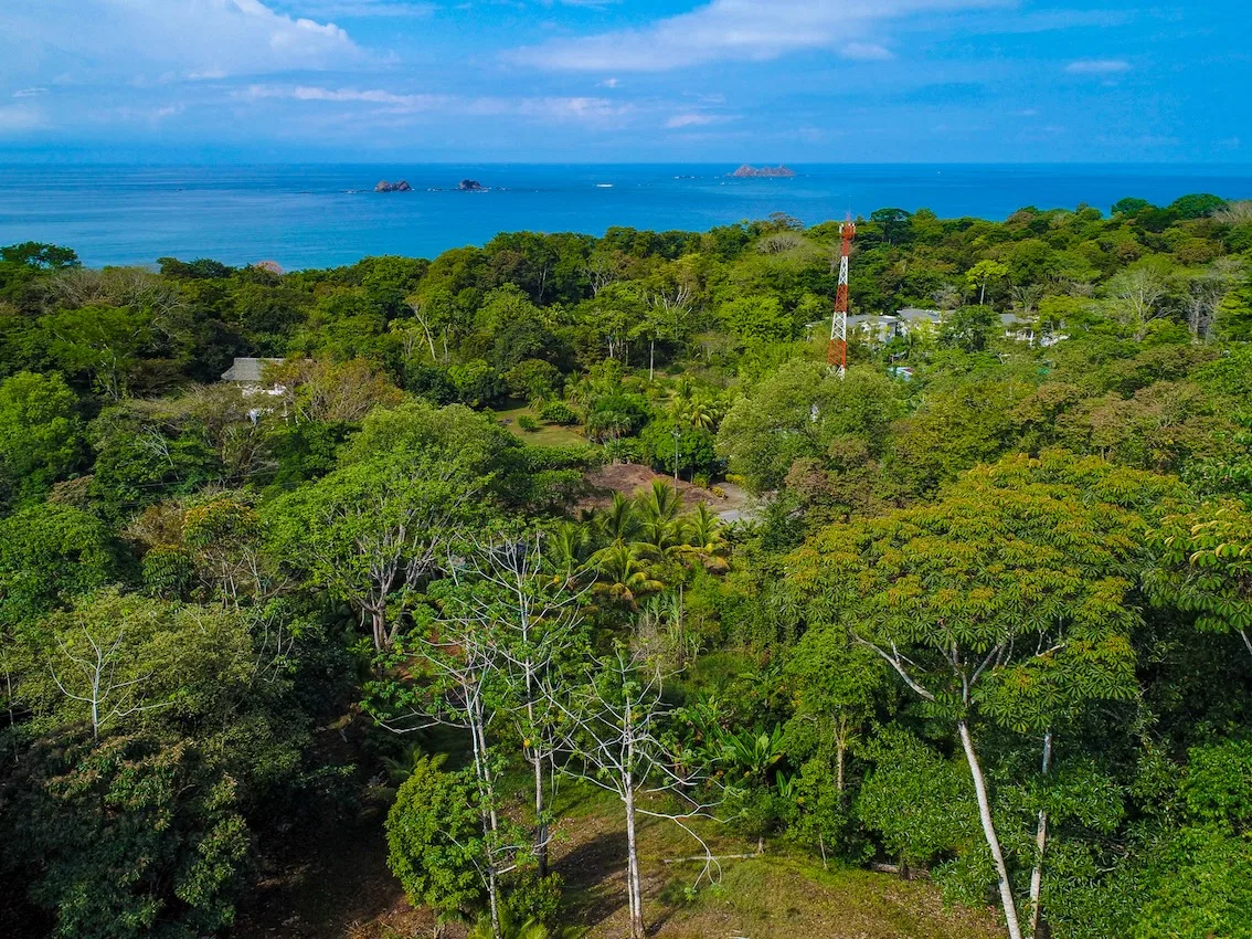 BUILDING PROPERTY WITH OCEAN VIEWS, IN BALLENA – 14.63 ACRES, photo 9