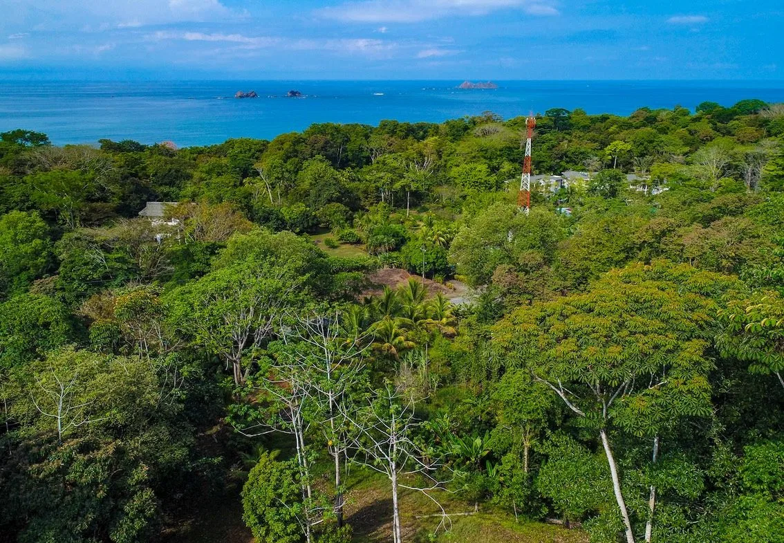 BUILDING PROPERTY WITH OCEAN VIEWS, IN BALLENA – 14.63 ACRES, photo 10