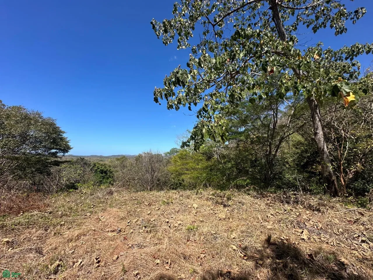 San José de Pinilla, Tamarindo, Guanacaste 50309