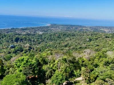 Unique Opportunity, Panoramic Ocean Views of the Whale's Tail Beach!, photo 12