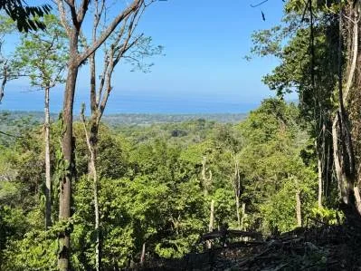 Unique Opportunity, Panoramic Ocean Views of the Whale's Tail Beach!, photo 14