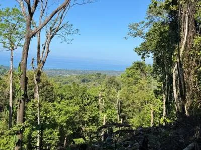 Unique Opportunity, Panoramic Ocean Views of the Whale's Tail Beach!, photo 15