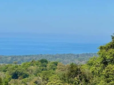 Unique Opportunity, Panoramic Ocean Views of the Whale's Tail Beach!, photo 16