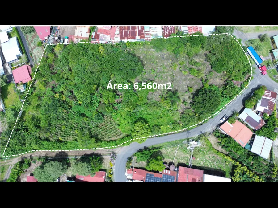 Amplio Terreno En Venta - Zaragoza, Palmares (6,560m2)