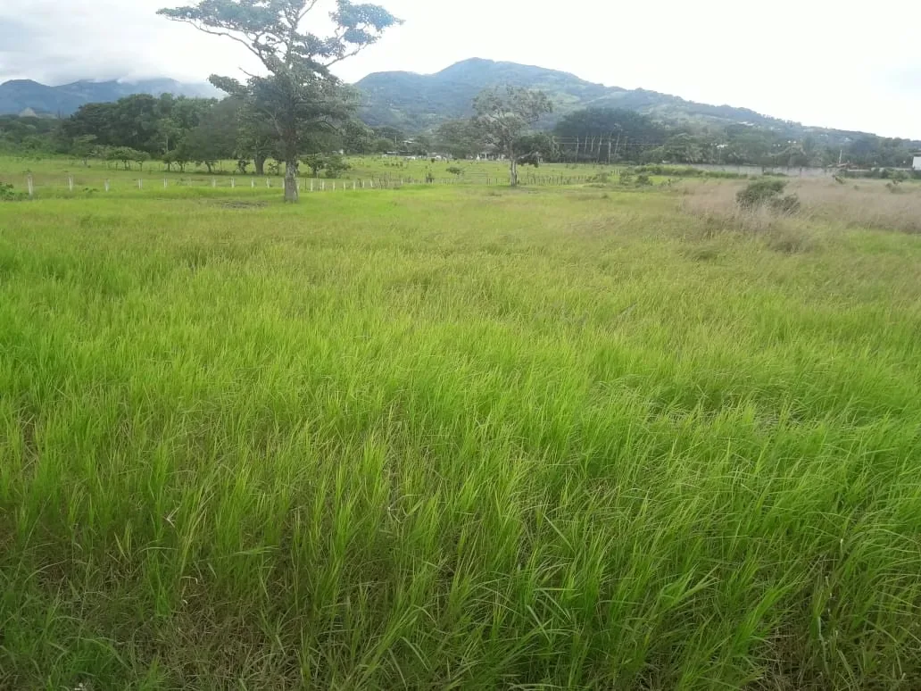 Farm for sale in Santa Ana, Brazil