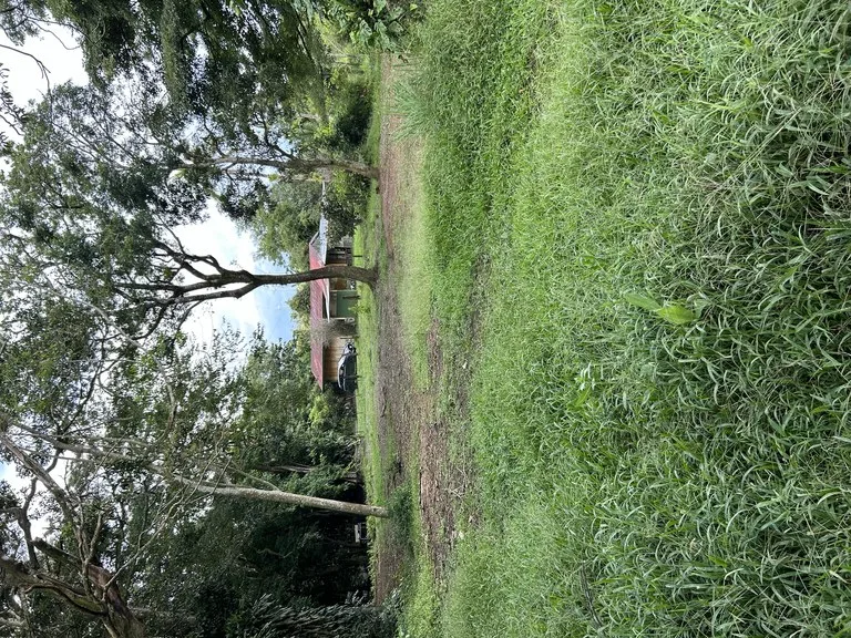Other in Sabalito