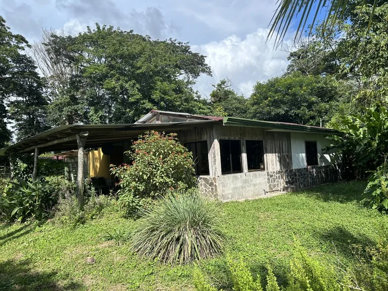 Other in Sabalito, photo 2