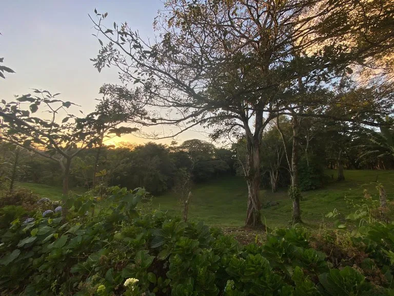 Other in Sabalito, photo 9