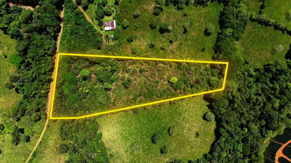SE VENDE TERRENO LISTO PARA CONSTRUIR CON RIOS Y FINANCIAMIENTO EN SAN FRANCISCO DE CAJON - Venta en Pérez Zeledón