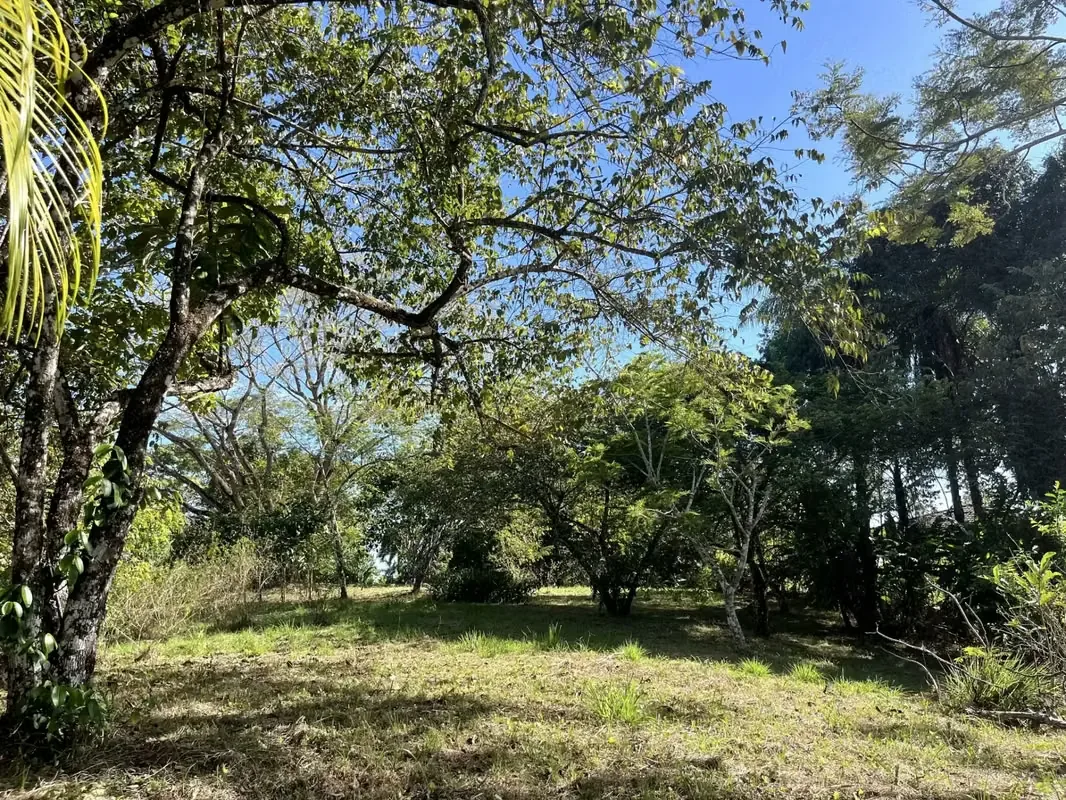 4000m2 Lot with Parcial Ocean Views in Dry Season in Delicias close to Montezuma and 20 min from Santa Teresa
