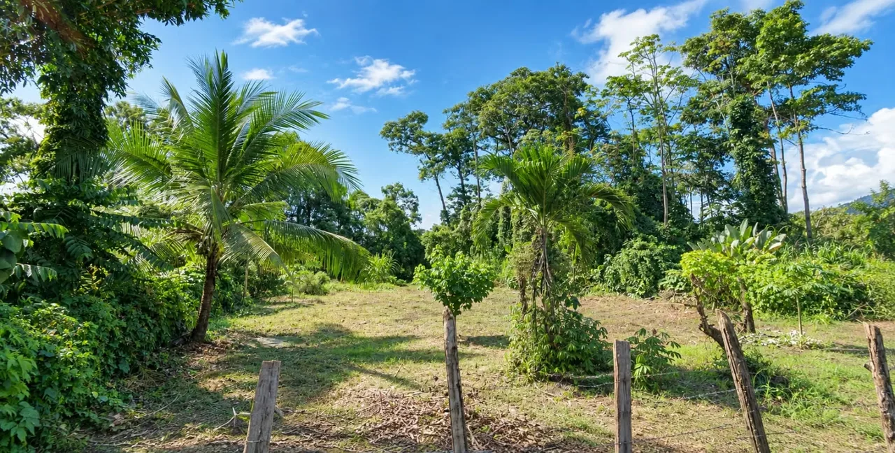 1,000 m² Lot for Sale in Uvita, Costa Rica – Boutique Hotel Project Included