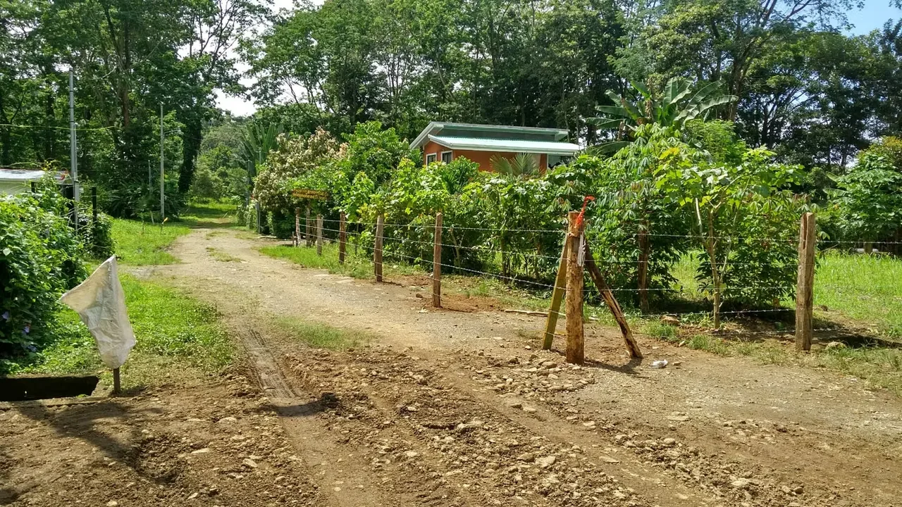 1,000 m² Lot for Sale in Uvita, Costa Rica – Boutique Hotel Project Included, photo 3
