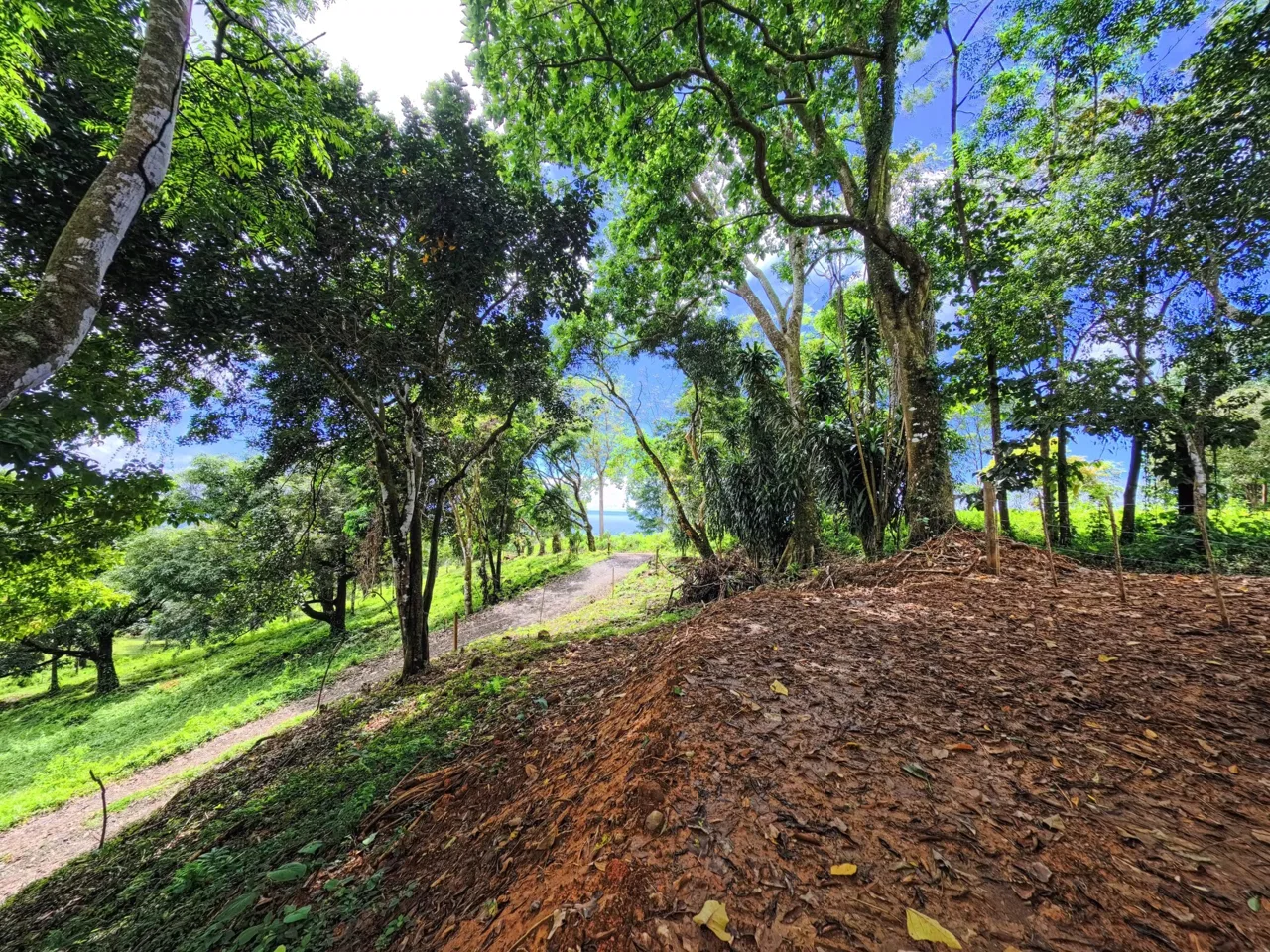 BUILDING PROPERTY WITH PANORAMIC VIEWS OF THE OCEAN, IN CINCO VENTANAS – 0.47 ACRES, photo 15