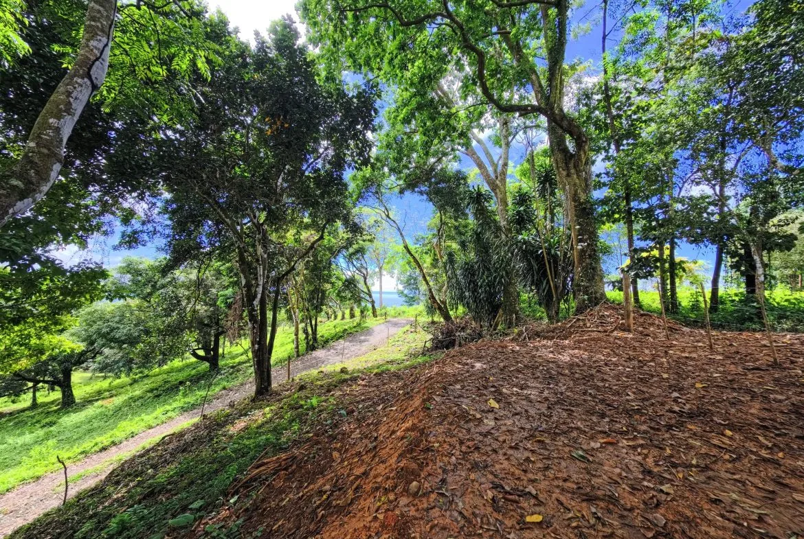 BUILDING PROPERTY WITH PANORAMIC VIEWS OF THE OCEAN, IN CINCO VENTANAS – 0.47 ACRES, photo 16
