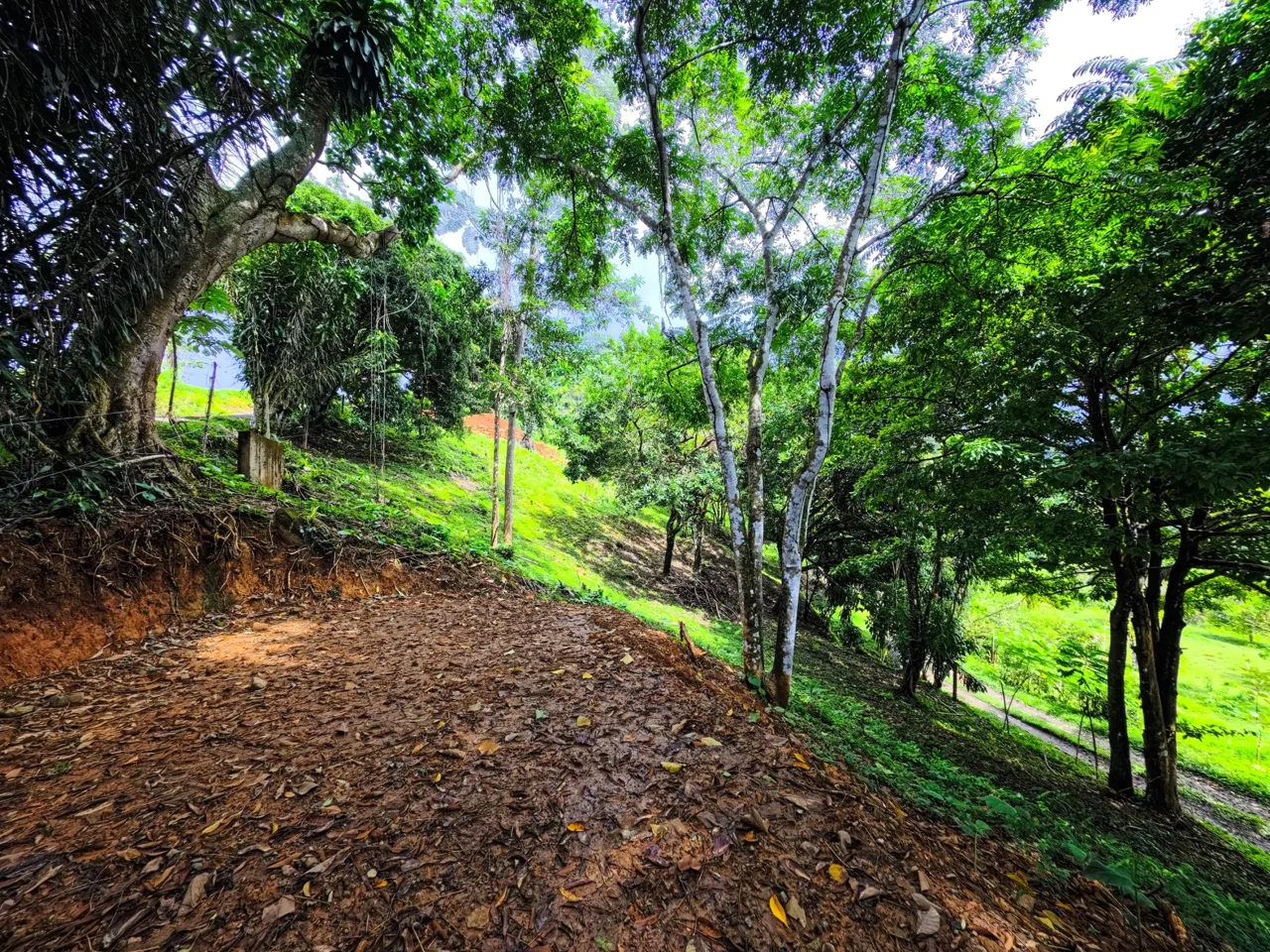 BUILDING PROPERTY WITH PANORAMIC VIEWS OF THE OCEAN, IN CINCO VENTANAS – 0.47 ACRES, photo 17
