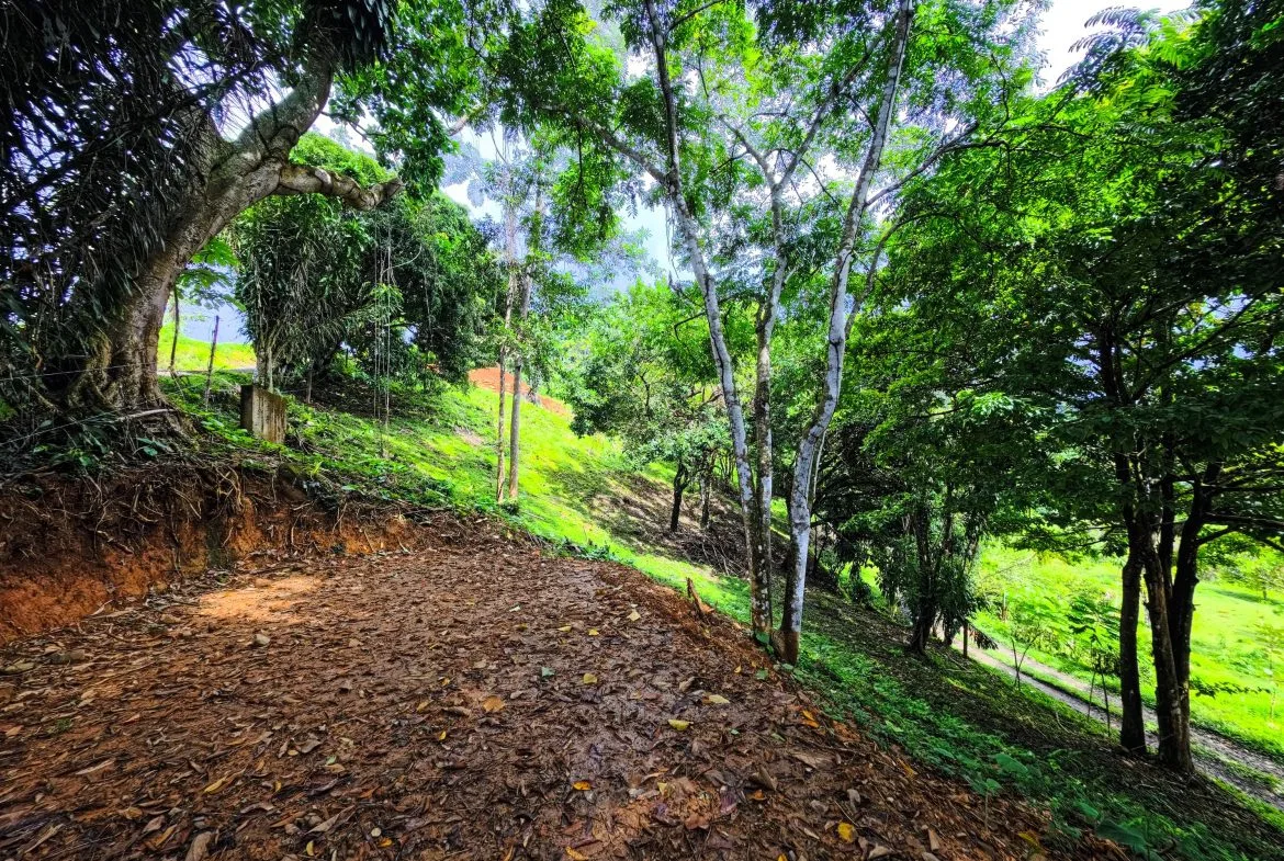 BUILDING PROPERTY WITH PANORAMIC VIEWS OF THE OCEAN, IN CINCO VENTANAS – 0.47 ACRES, photo 18