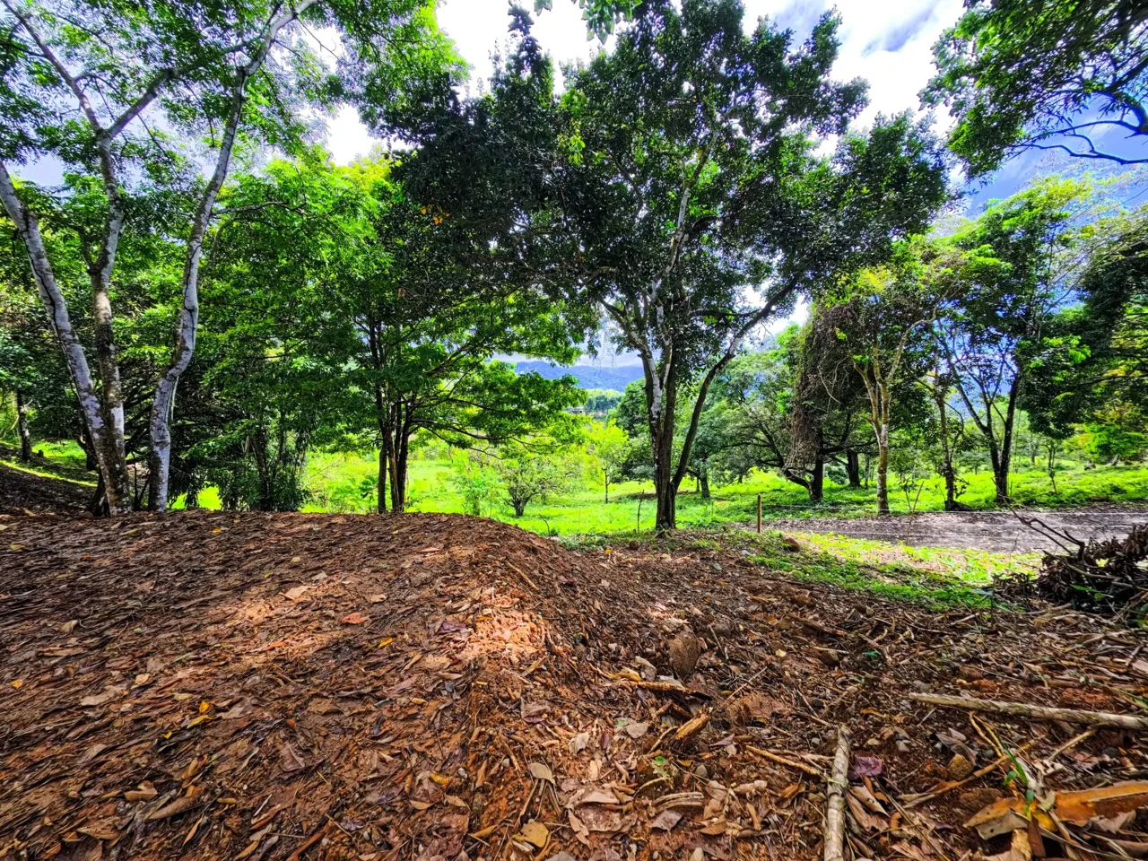 BUILDING PROPERTY WITH PANORAMIC VIEWS OF THE OCEAN, IN CINCO VENTANAS – 0.47 ACRES, photo 19