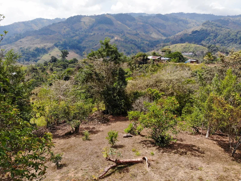 2 Bed Single Family Homes For Sale in Perez Zeledon, photo 11