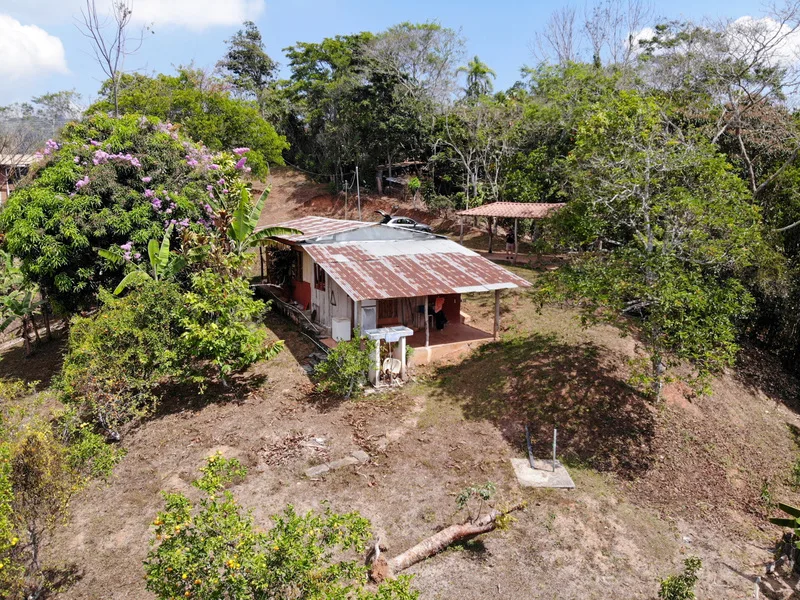 2 Bed Single Family Homes For Sale in Perez Zeledon, photo 12