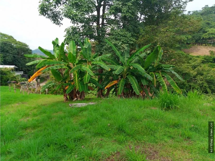 LOT FOR SALE