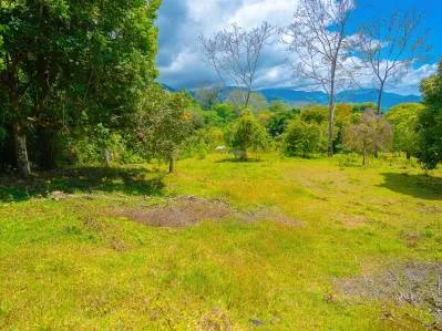 Lot 23 for Sale – 3,165 m² (0.78 Acres) – Ojochal, Costa Rica, photo 6