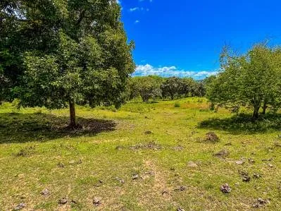 Lot 23 for Sale – 3,165 m² (0.78 Acres) – Ojochal, Costa Rica, photo 7