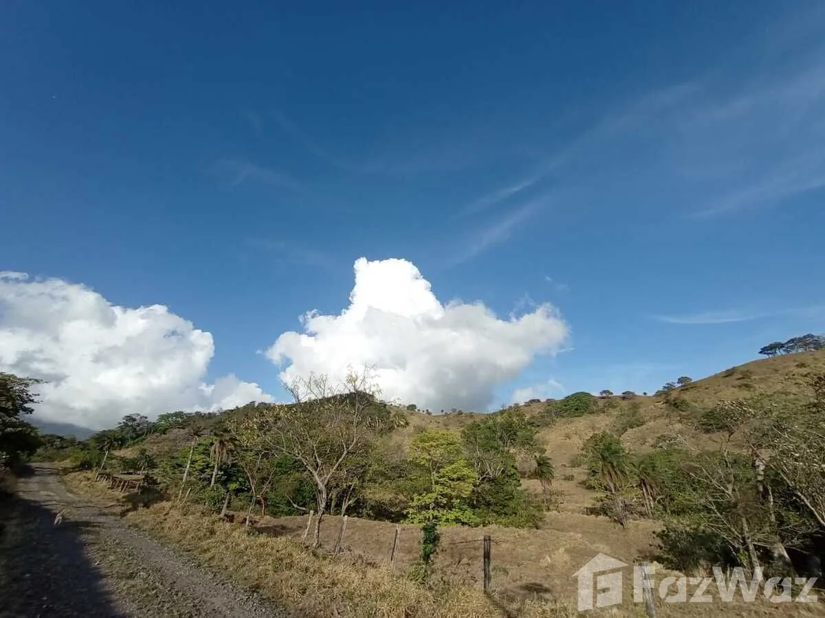 Land for Sale in Tilaran, Guanacaste for $1,000,000, photo 3