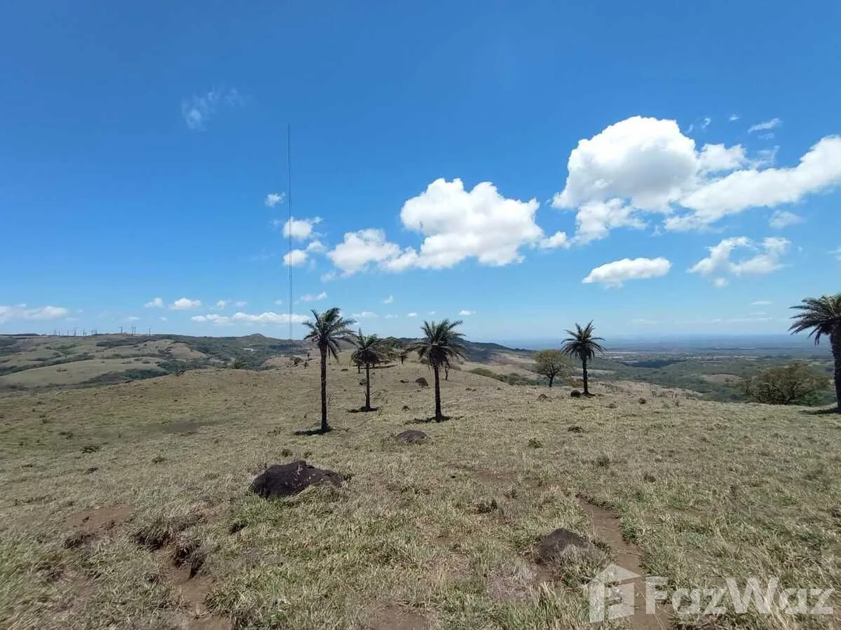 Land for Sale in Tilaran, Guanacaste for $1,000,000, photo 4