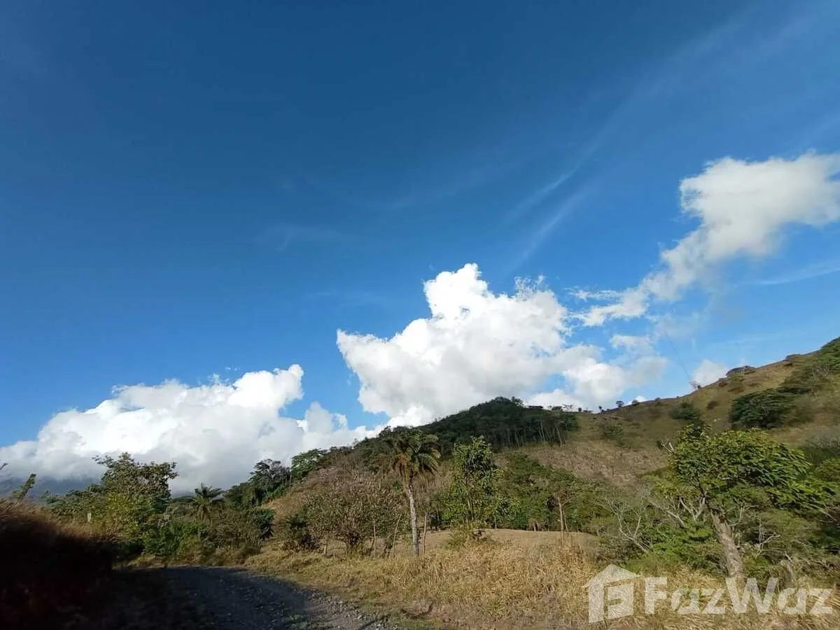 Land for Sale in Tilaran, Guanacaste for $1,000,000, photo 5