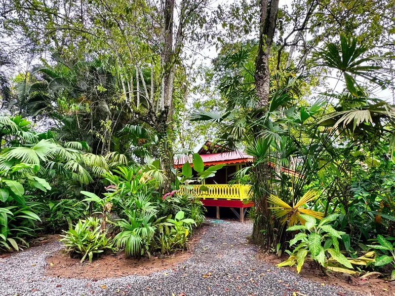 7 Bed Single Family Homes For Sale in Puerto Viejo, photo 2