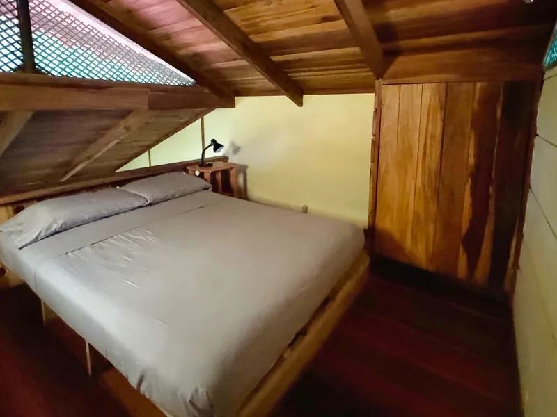7 Bed Single Family Homes For Sale in Puerto Viejo, photo 12