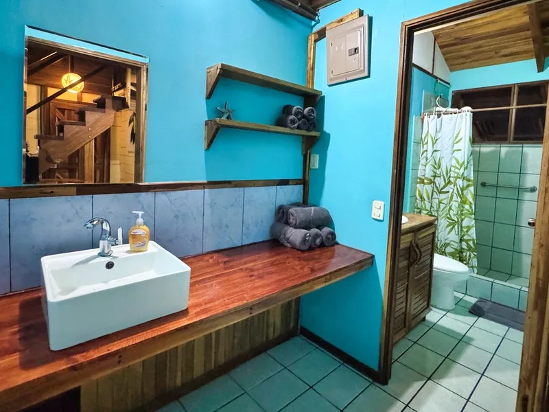 7 Bed Single Family Homes For Sale in Puerto Viejo, photo 14