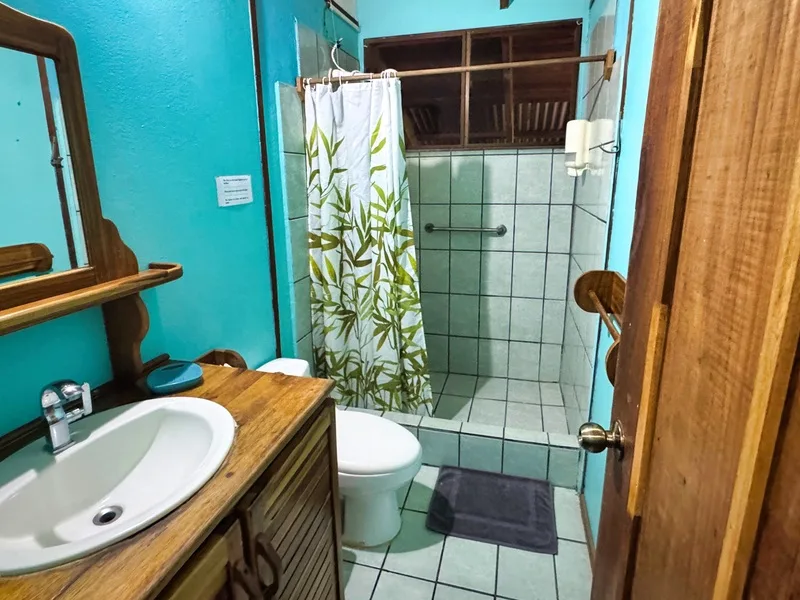 7 Bed Single Family Homes For Sale in Puerto Viejo, photo 15