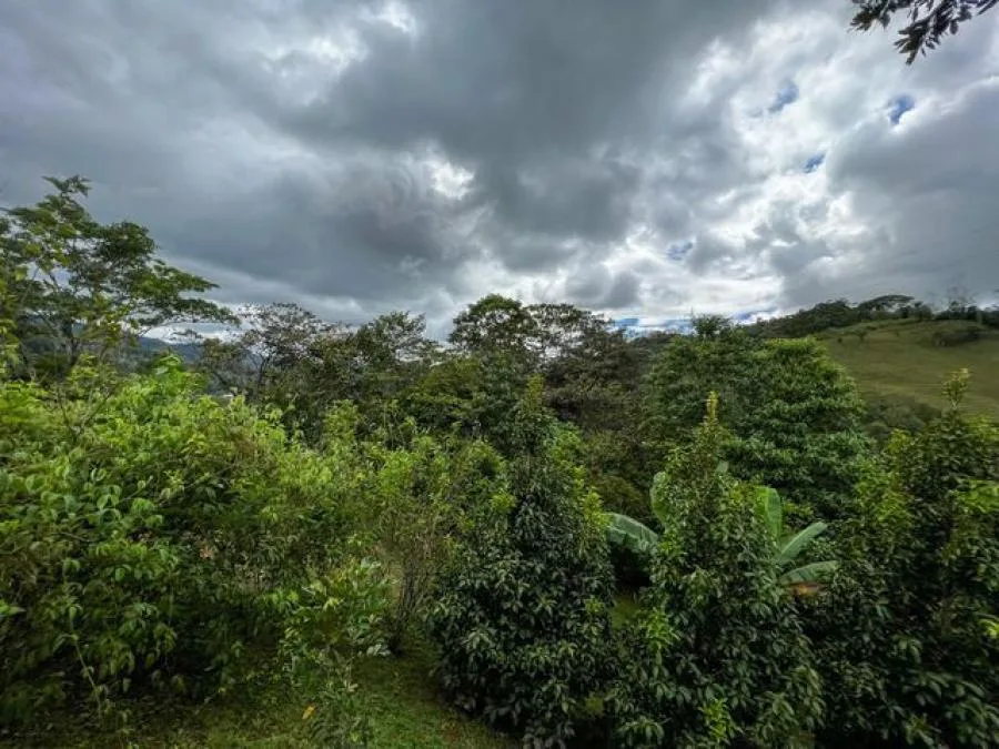 Venta de Casa en Perez Zeledón, San José. - Venta en Perez Zeledón, photo 9