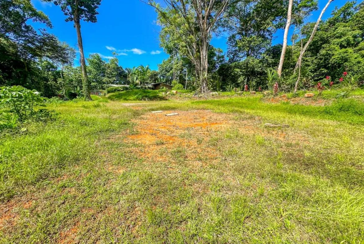 BUILDING PROPERTY WITH ROAD TO THE RIVER, IN VENTANAS – 1.64 ACRES, photo 2