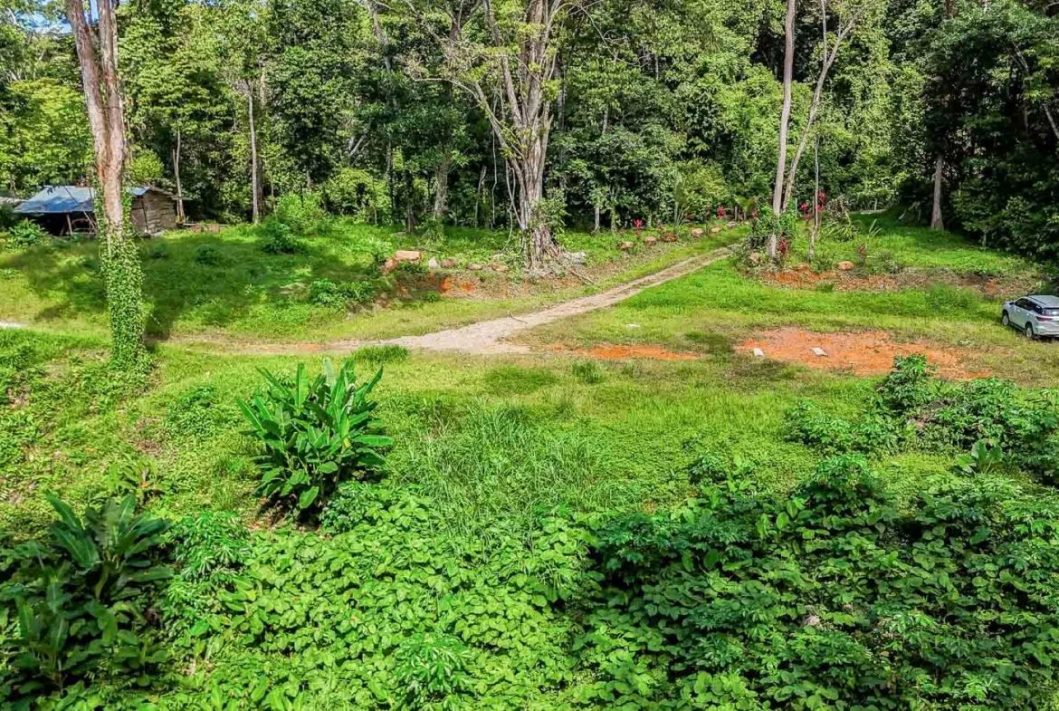 BUILDING PROPERTY WITH ROAD TO THE RIVER, IN VENTANAS – 1.64 ACRES, photo 12