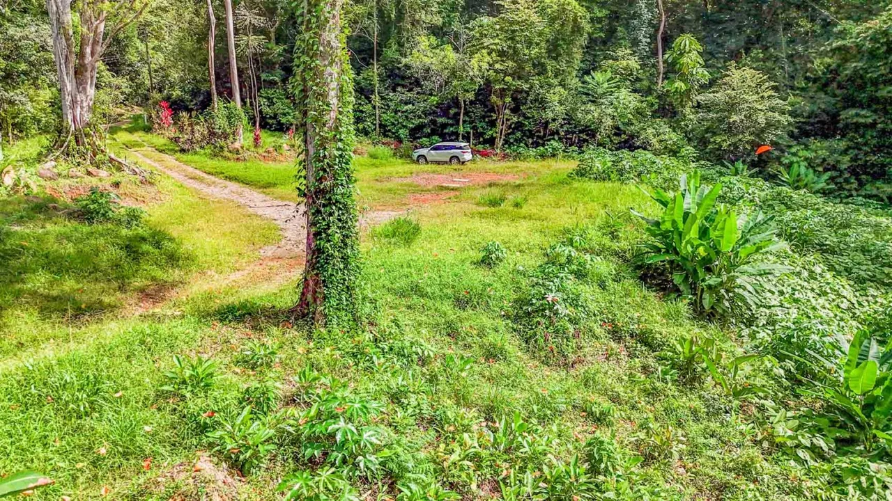 BUILDING PROPERTY WITH ROAD TO THE RIVER, IN VENTANAS – 1.64 ACRES, photo 13