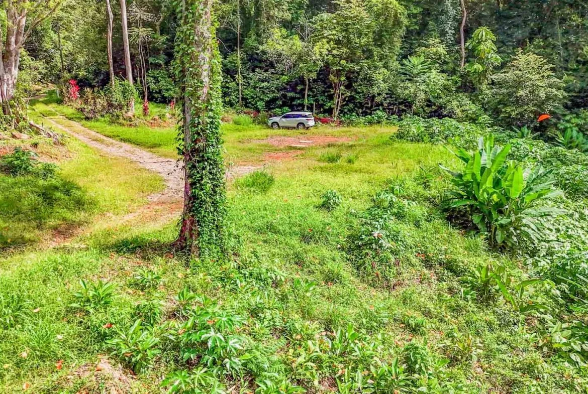 BUILDING PROPERTY WITH ROAD TO THE RIVER, IN VENTANAS – 1.64 ACRES, photo 14